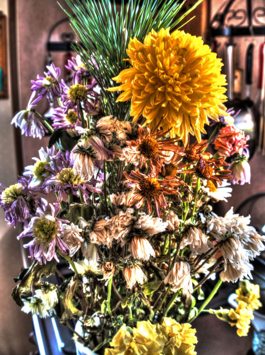 枯れた花にも美しさはきっとあって 植物 花 花びら Ganref 枯れた花にも美しさはきっとあって 植物 花 花びら Ganref