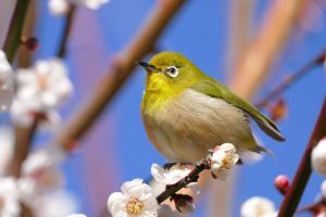 MDAwMDAwNjEyMw_MC44Nzc3MDUwMCA