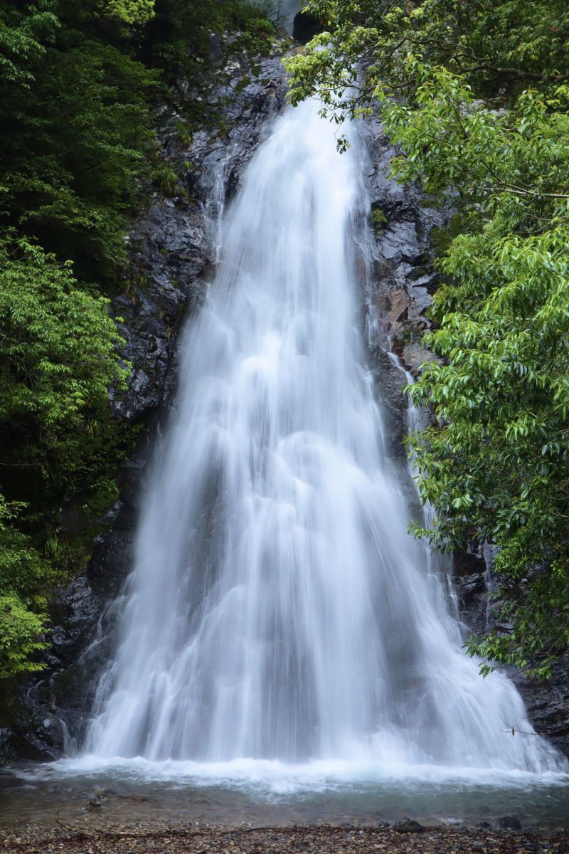 MDAwMDA2MjQ0MA_MC42MDQyMTcwMCA