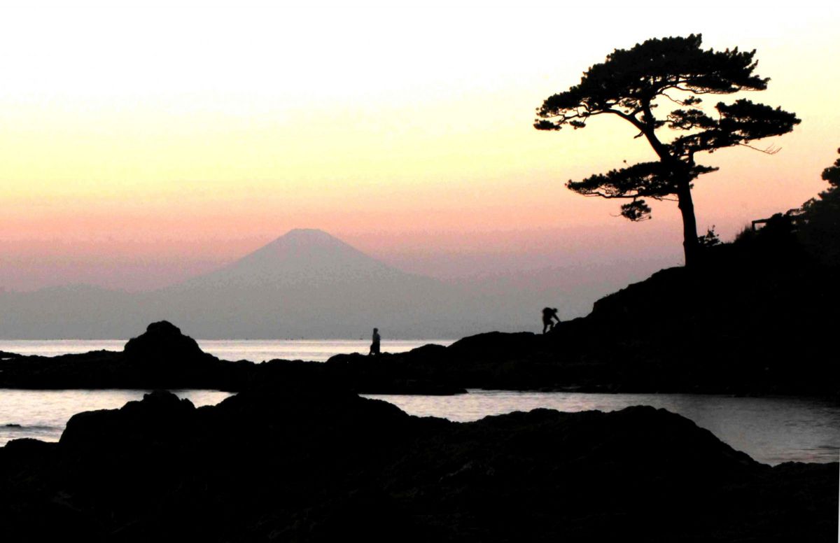 立石公園ー2 GANREF