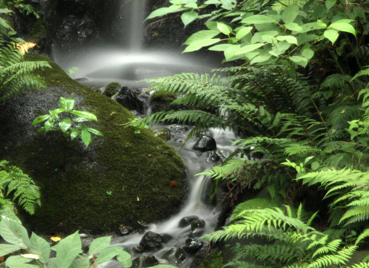 小さな滝壺 自然 風景 滝 Ganref