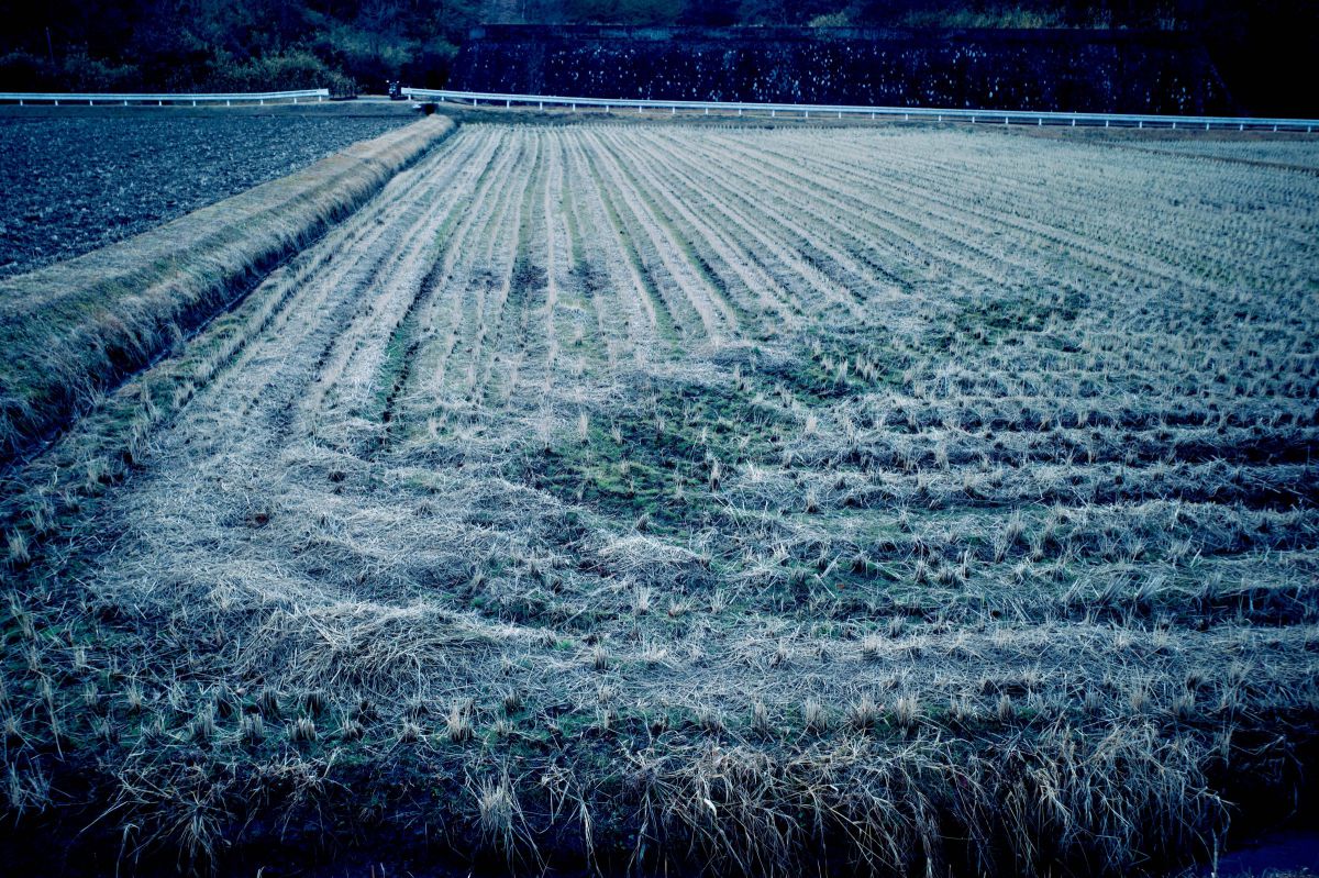 In the Winter | GANREF