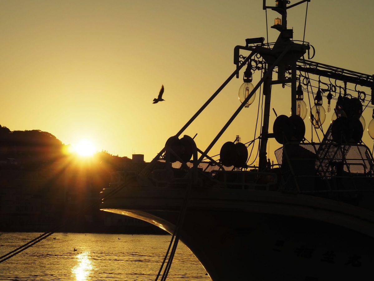 ベイエリア GANREF