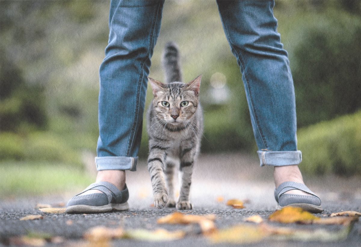 ZEISS Batis 1.8/85で撮影された写真 | 写真検索 | GANREF