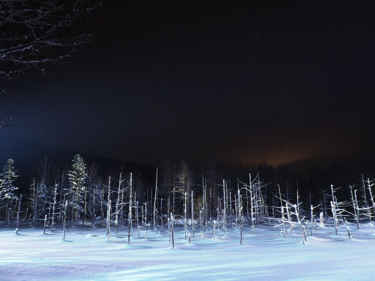 白銀の世界 自然 風景 湖沼 Ganref