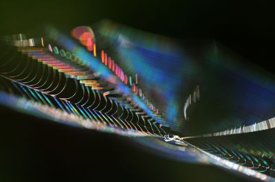 デジタルカメラマガジン 2024年7月号選考〈風景写真（夏）部門〉 風景