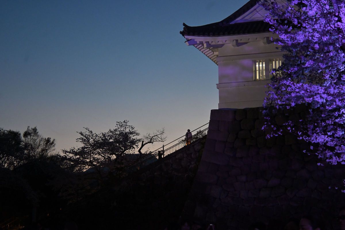 NIKKOR Z DX 16-50mm f/3.5-6.3 VRで撮影された写真 | 写真検索 | GANREF