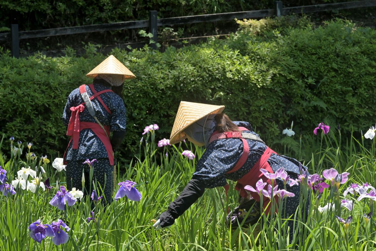 NIKKOR Z DX 50-250mm f/4.5-6.3 VRで撮影された写真 | 写真検索 | GANREF