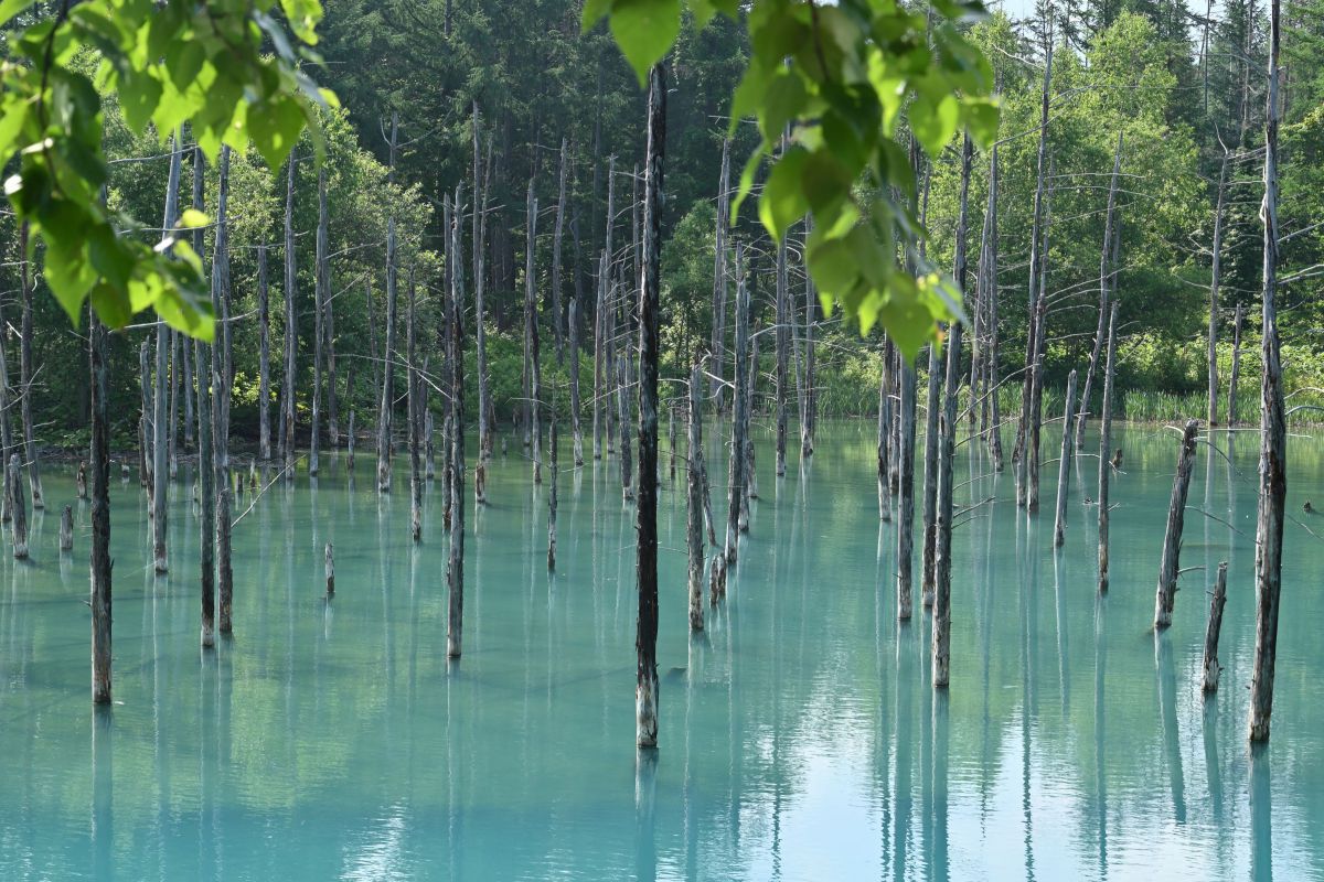 Z 5で撮影された写真 | 写真検索 | GANREF