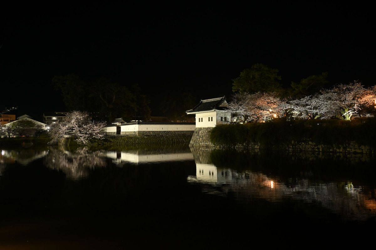 NIKKOR Z DX 16-50mm f/3.5-6.3 VRで撮影された写真 | 写真検索 | GANREF