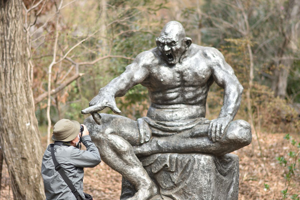 D7200で撮影された写真 | 写真検索 | GANREF