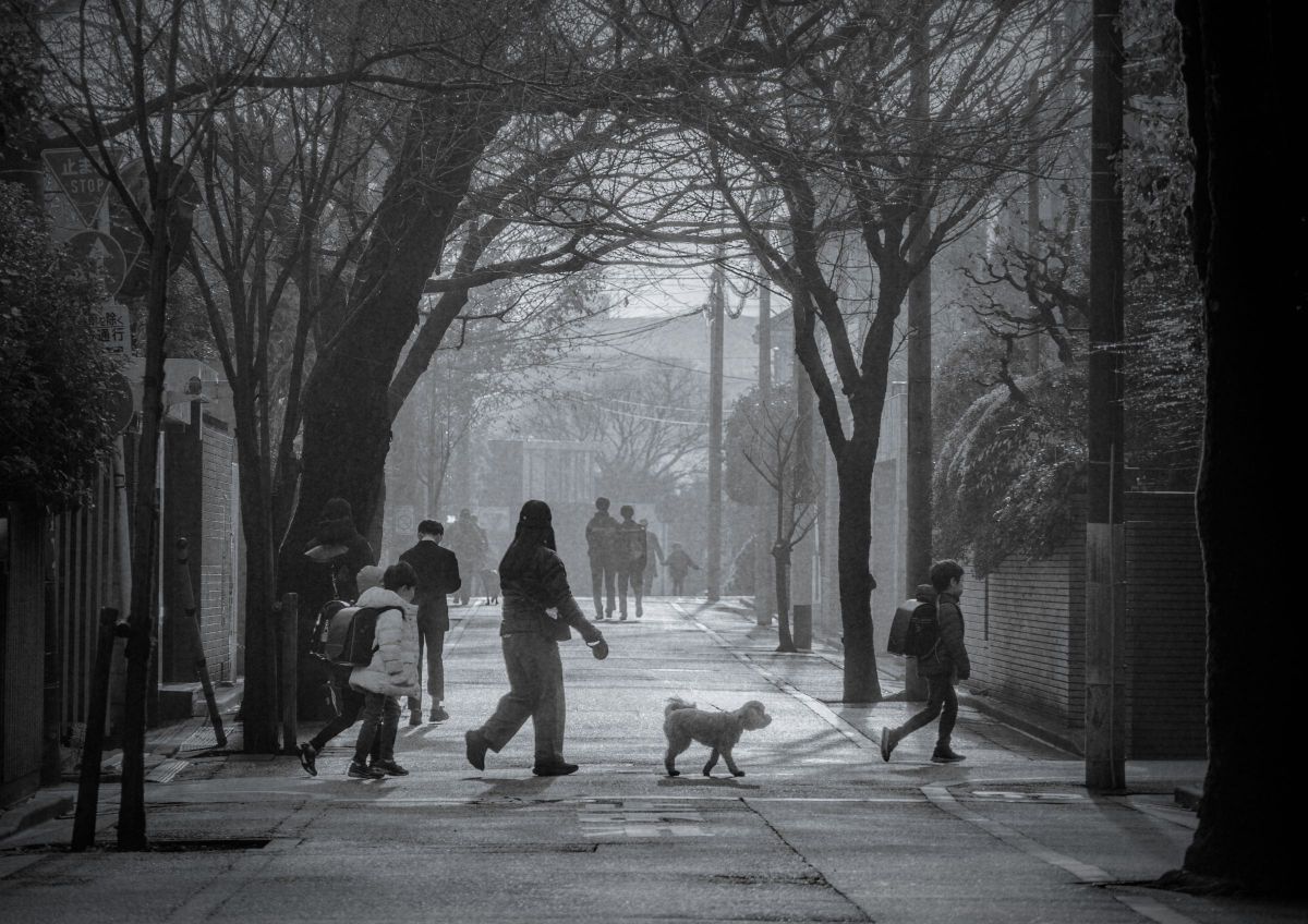 E 18-135mm F3.5-5.6 OSSで撮影された写真 | 写真検索 | GANREF