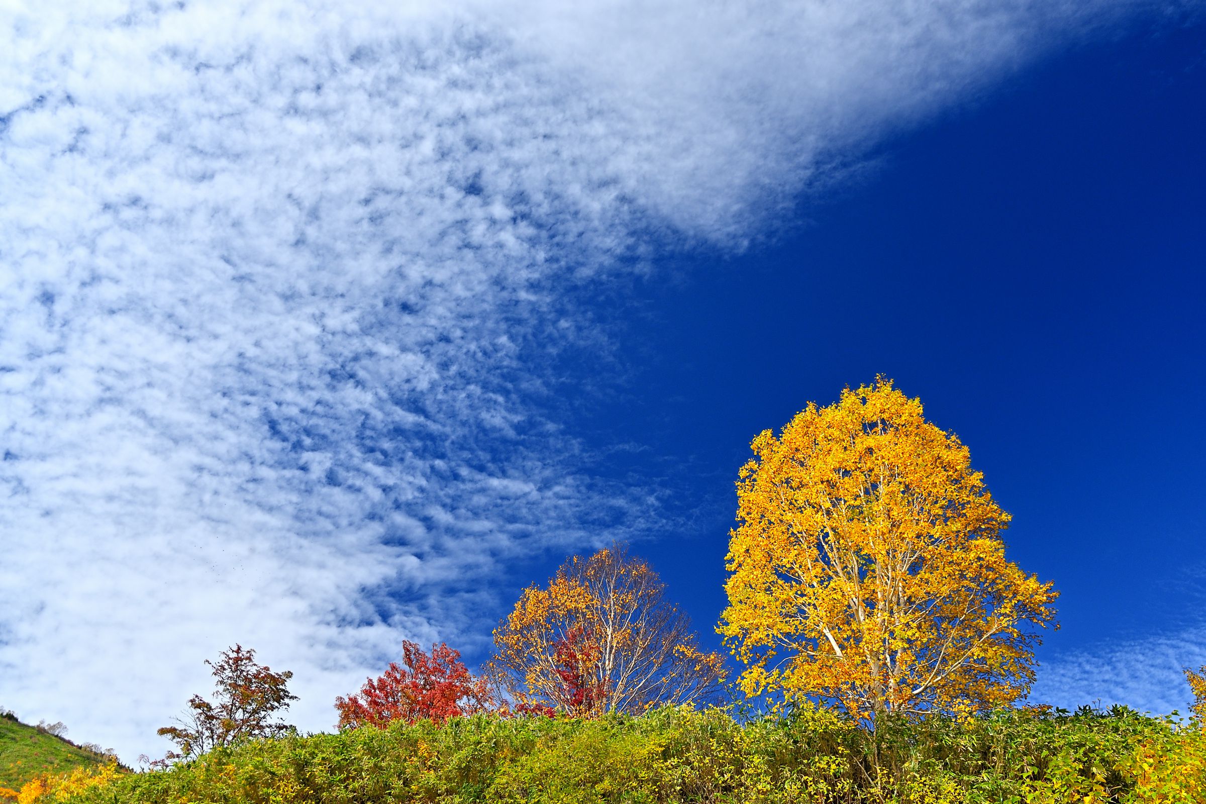 気分爽快 秋景色 | GANREF