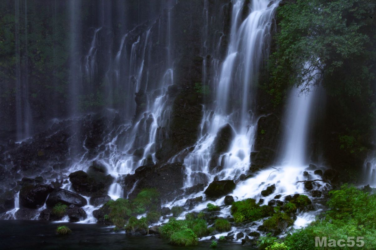 t*y様 極美品　キヤノン　EOS5DMARK II 498ショット Amazon.com : Canon EOS 5D Mark IV DSLR Camera with 24-70mm f/4L