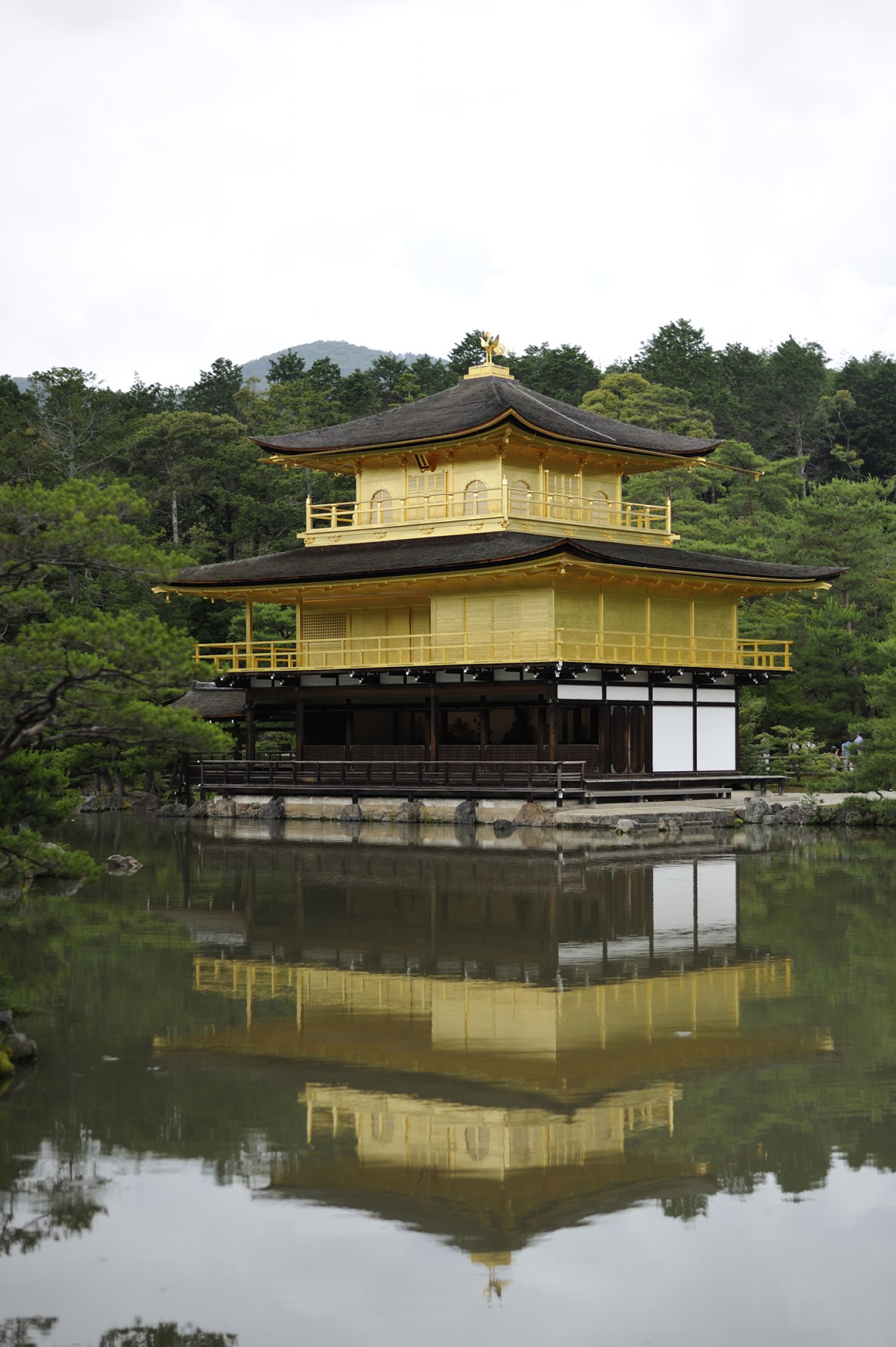 金閣寺 正面顔 | GANREF
