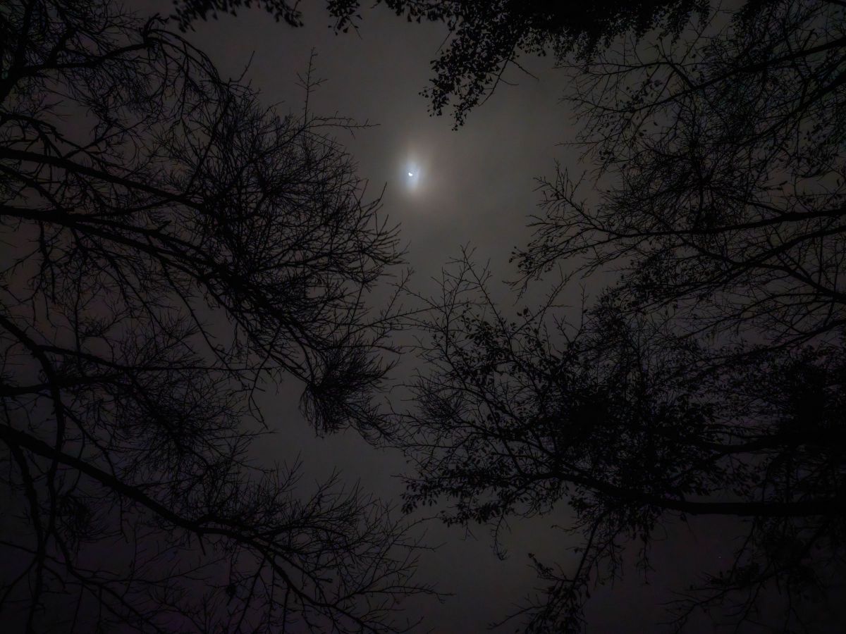 霧夜の雲間 | GANREF