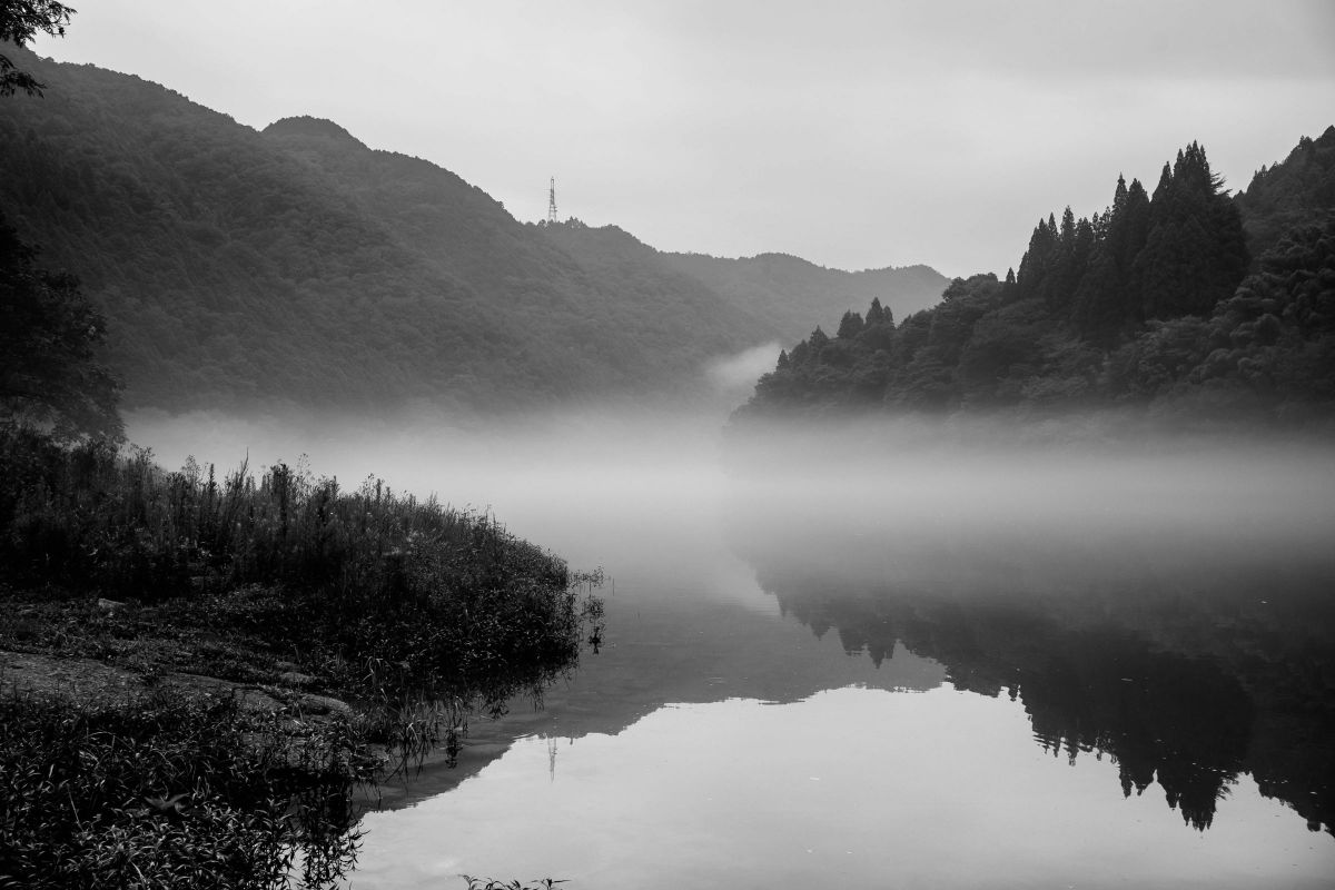 NIKKOR Z DX 24mm f/1.7で撮影された写真 | 写真検索 | GANREF