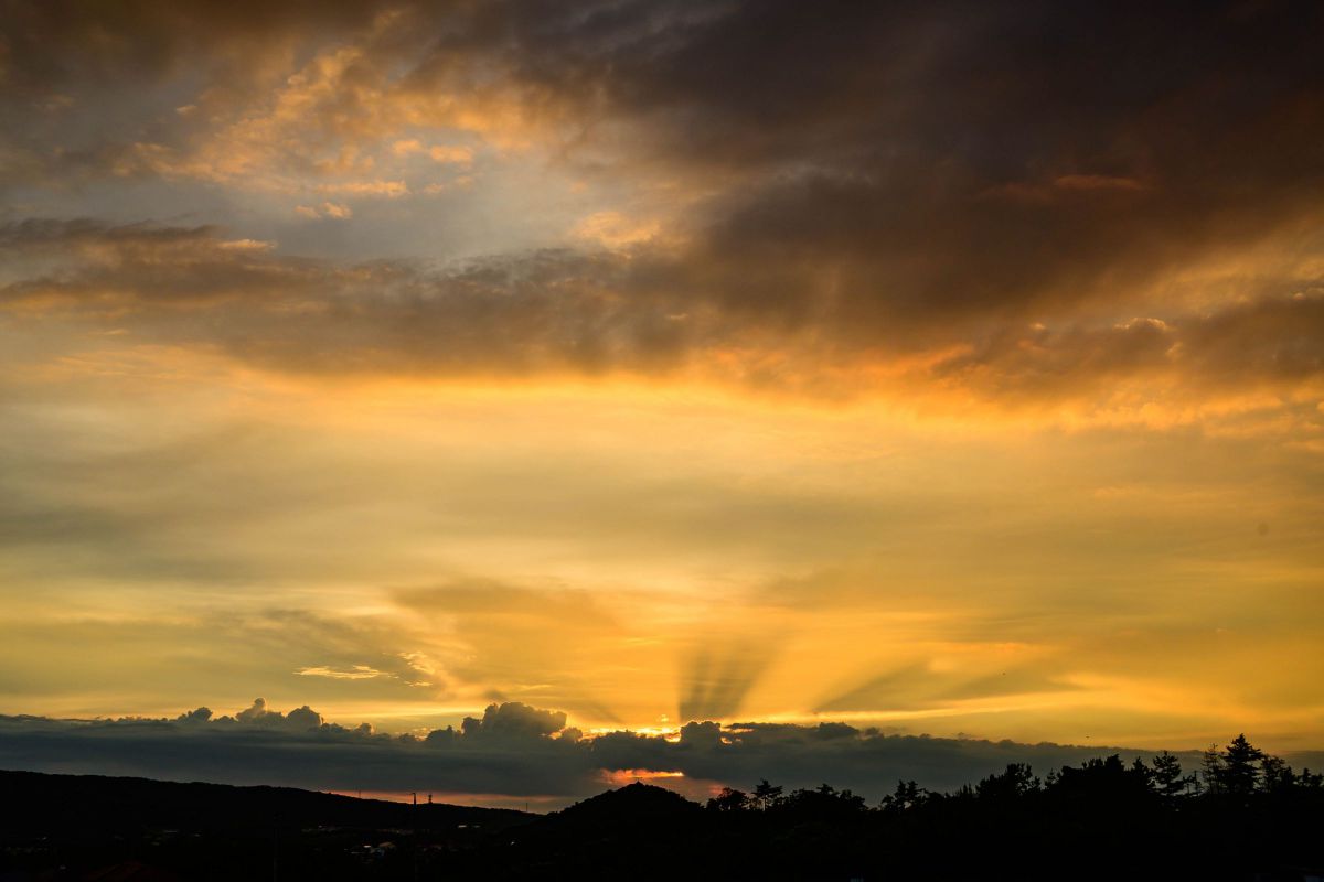 NIKKOR Z DX 24mm f/1.7で撮影された写真 | 写真検索 | GANREF