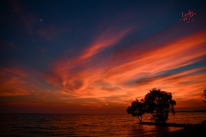 あの日の夕日 19f0c98a12cccedf04934a5fb3e641