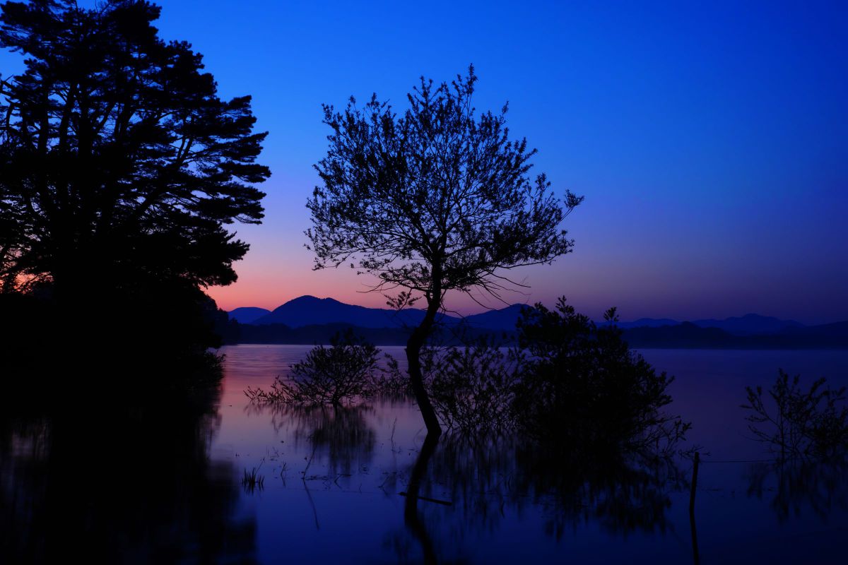 LUMIX G100で撮影された写真 | 写真検索 | GANREF
