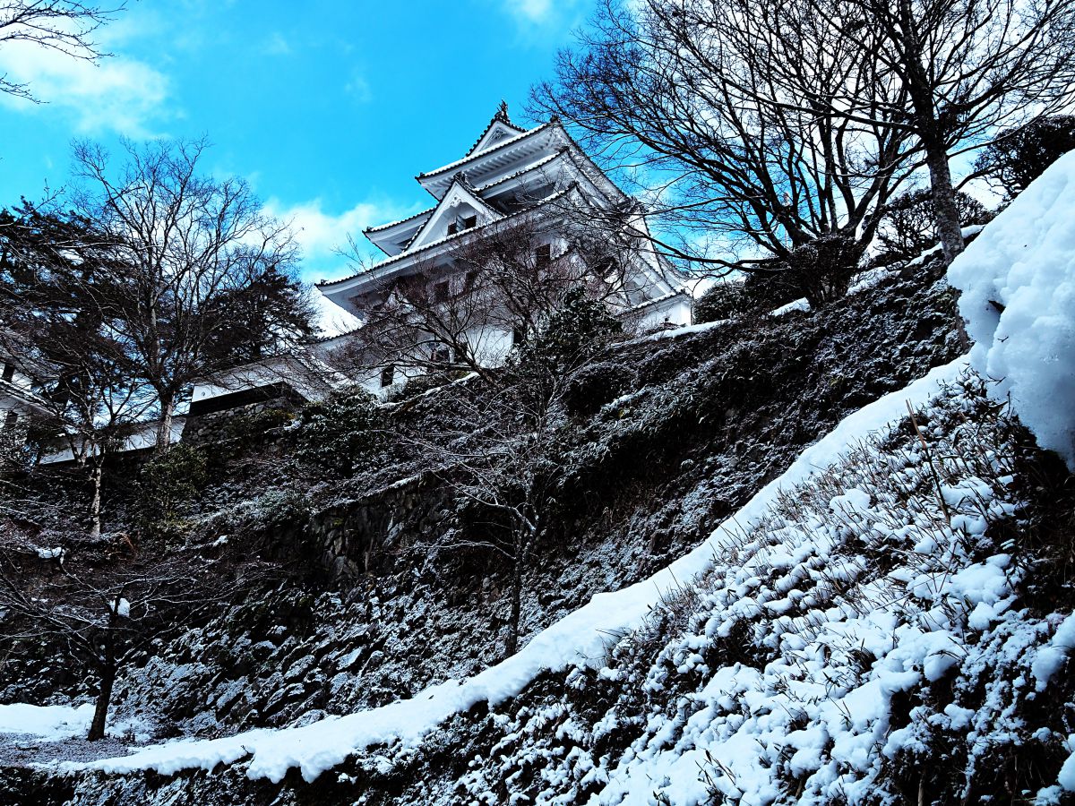 冬の郡上八幡城 街並み 建物 城 宮殿 Ganref