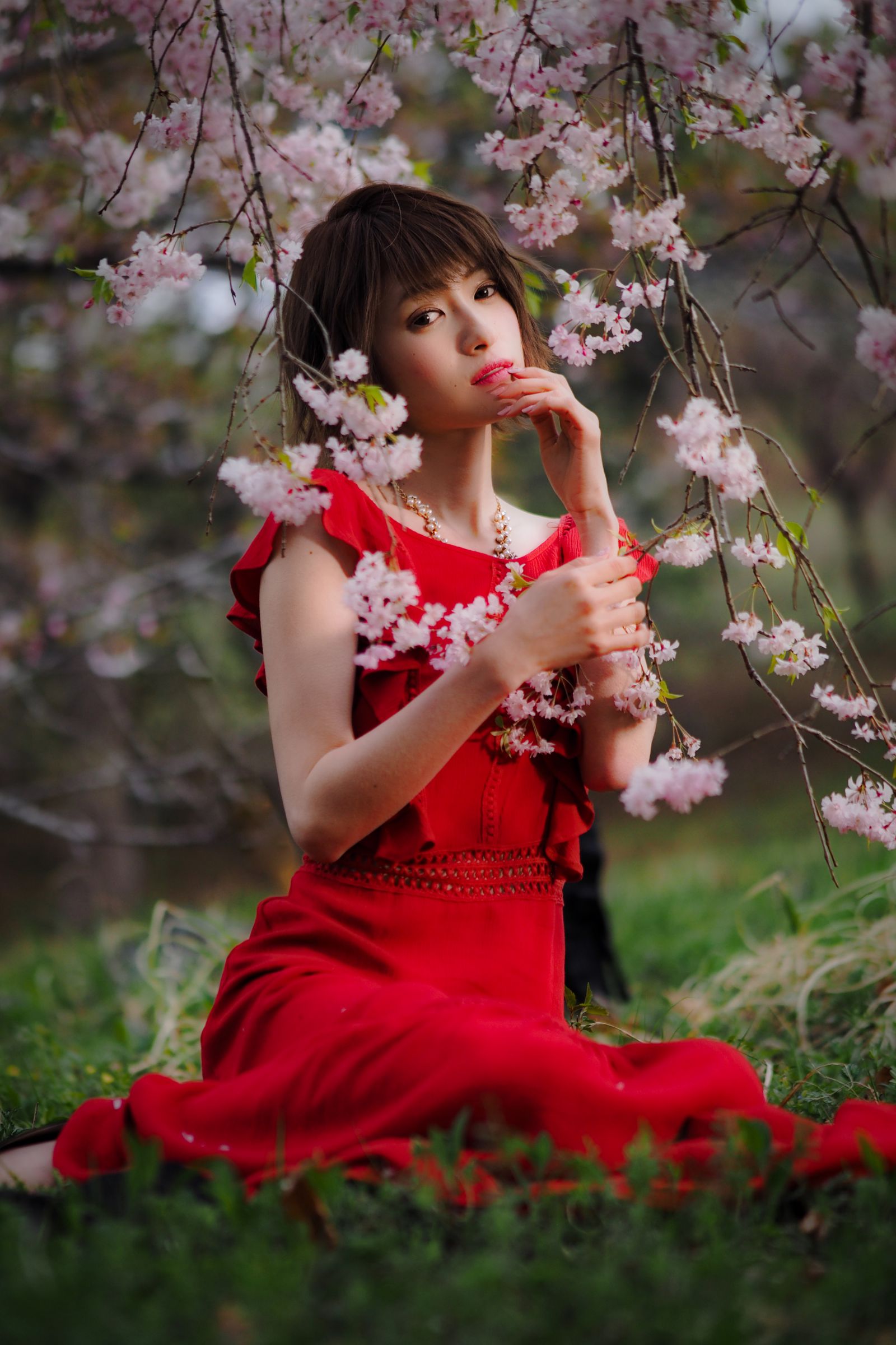 桜と女 | GANREF