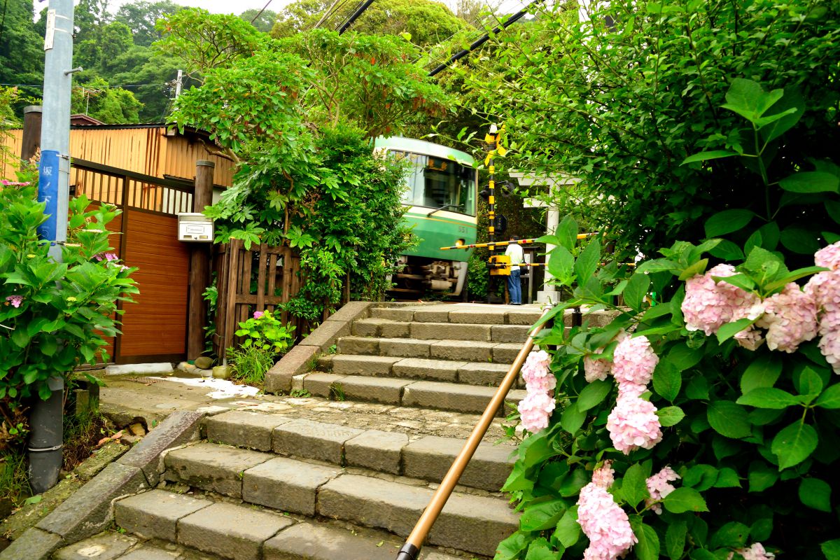 江ノ電踏切風景長谷御霊神社編02 | GANREF