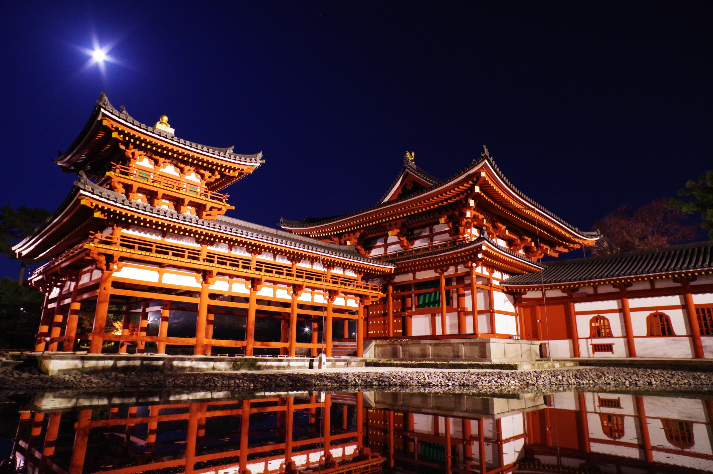 フォト】秋の夜に鳳凰堂浮かぶ 京都・平等院ライトアップ - 産経