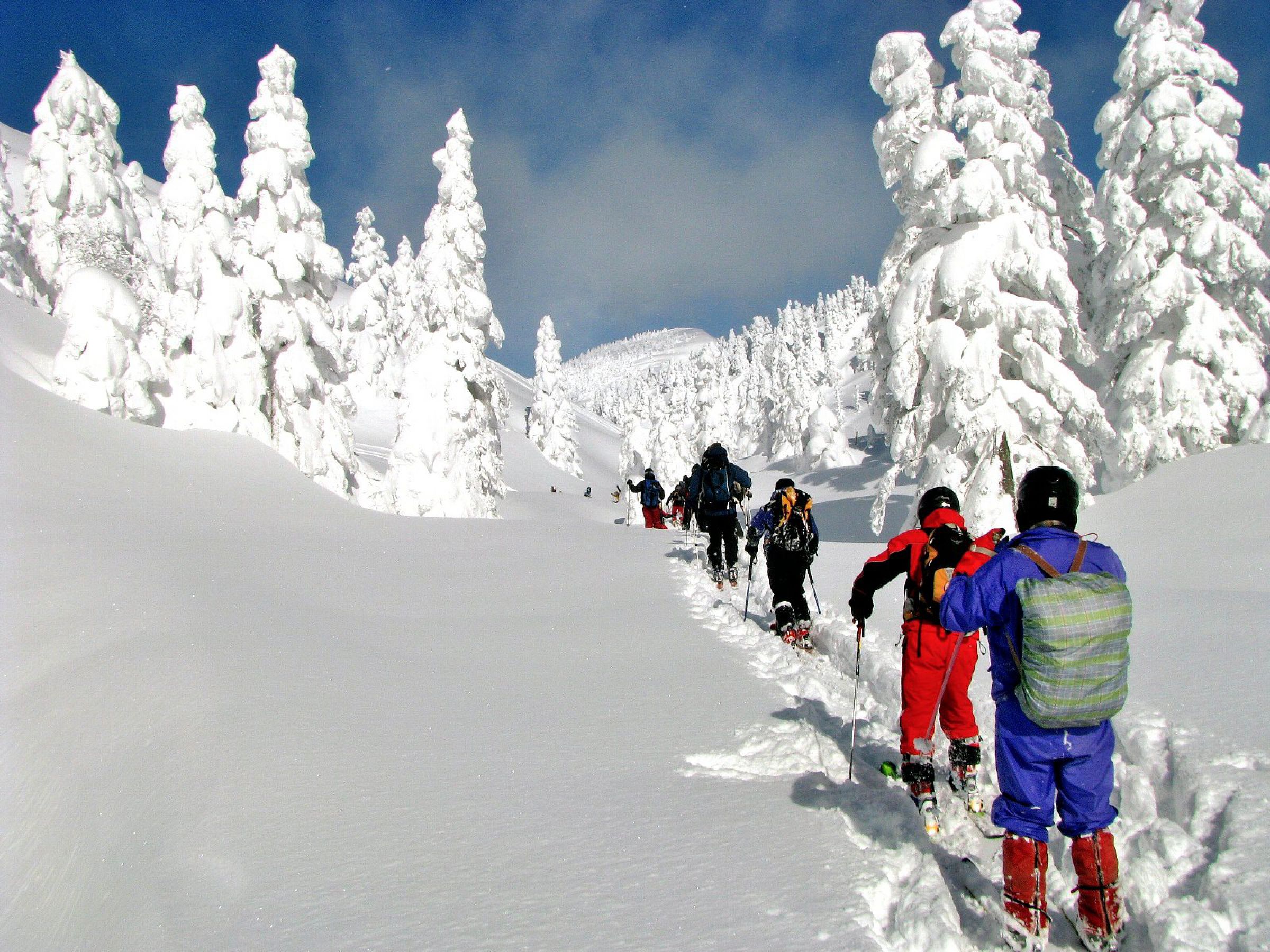 山スキー。アルパイントレッカー・クランポン.雪山登山。 北穂高岳 東稜 残雪期アルパインクライミング 北穂沢 バック