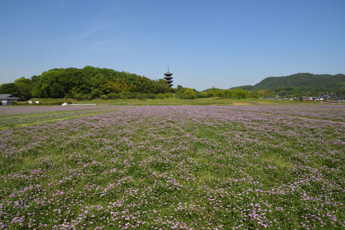 長閑な風景 | GANREF