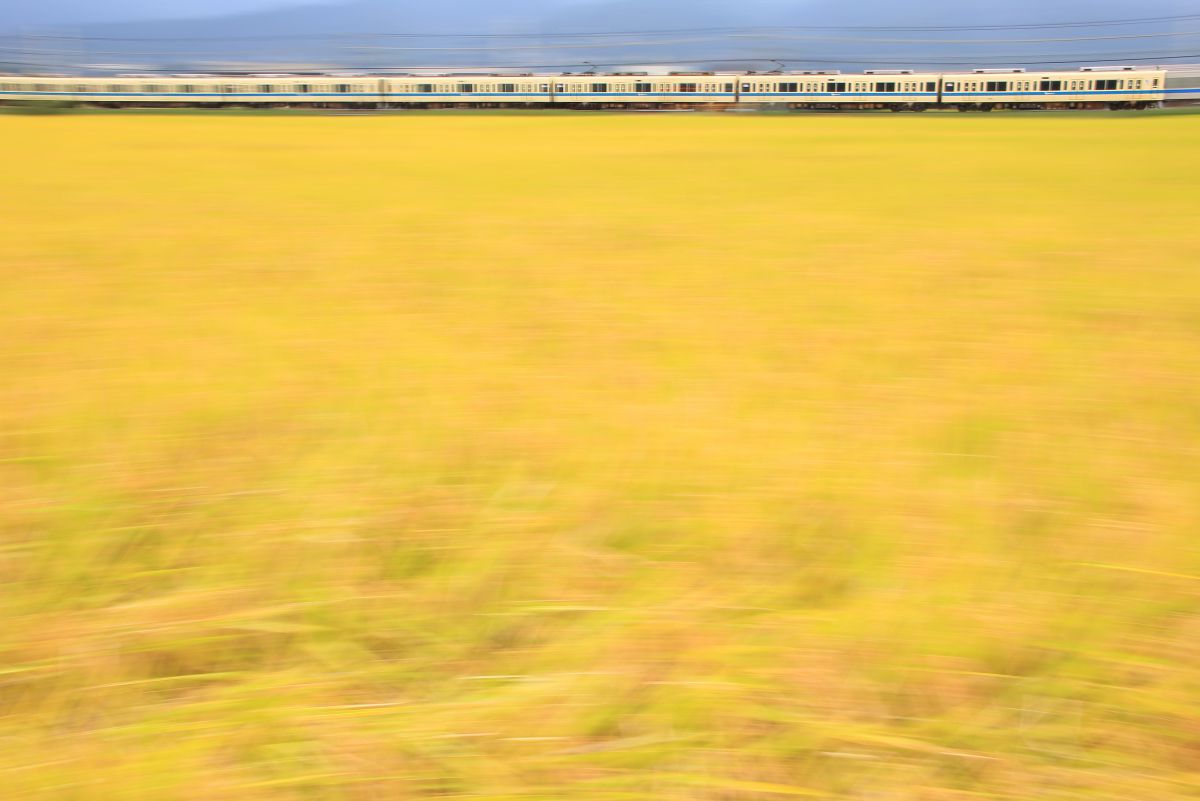 稲穂の海を 乗り物 交通 鉄道 駅 Ganref