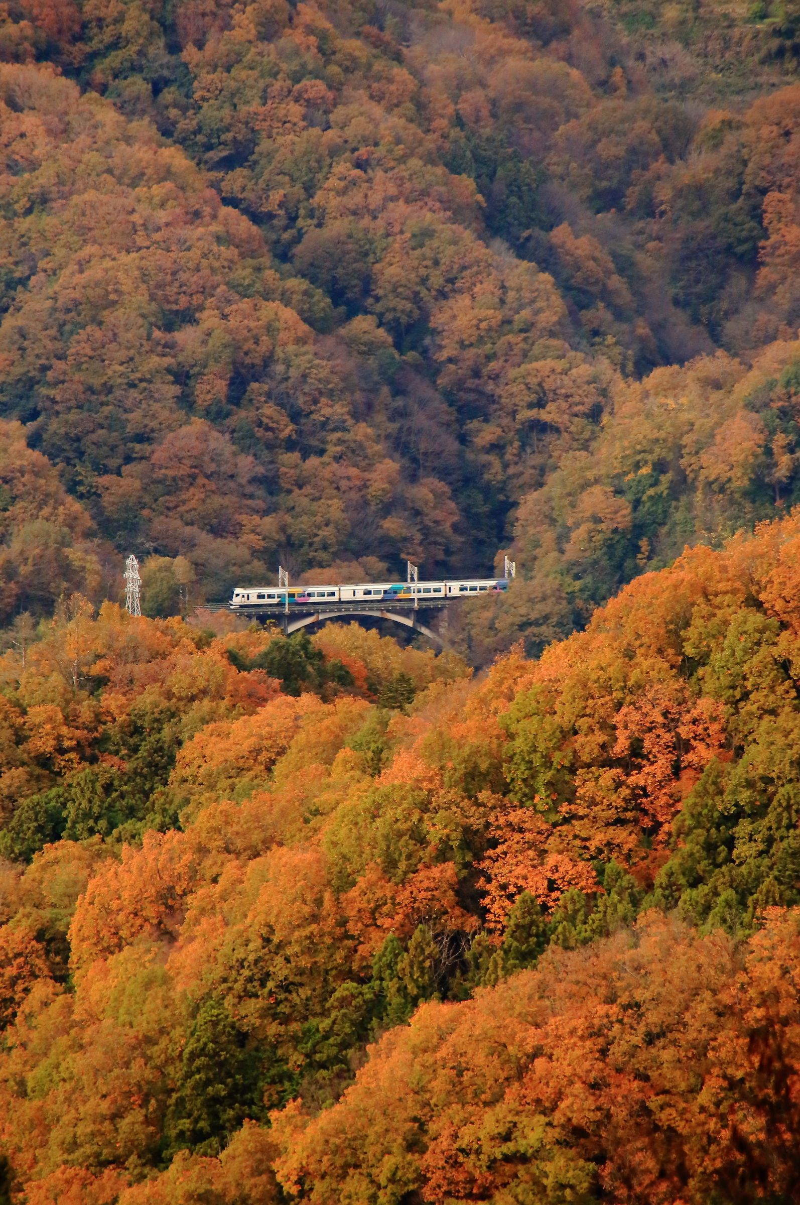 紅葉の中を | GANREF