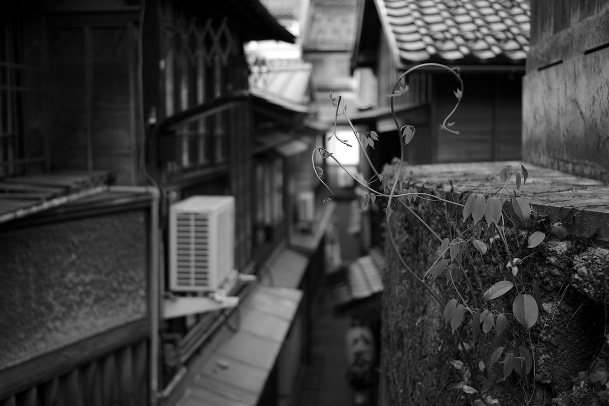 ライカM8.2で撮影された写真 | 写真検索 | GANREF