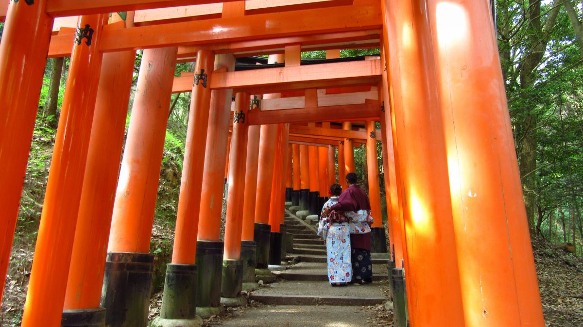 PowerShot SX610 HSで撮影された写真 | 写真検索 | GANREF