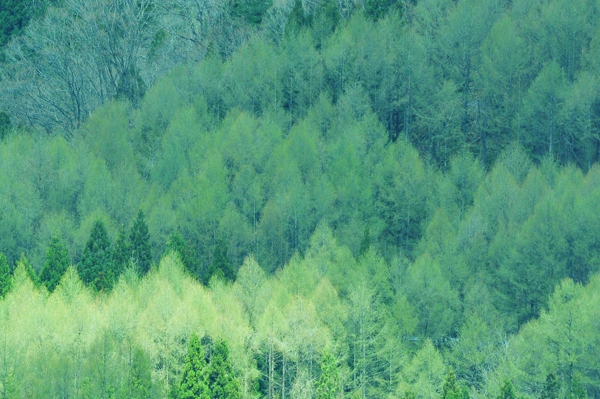 パステルカラー 自然 風景 山 Ganref