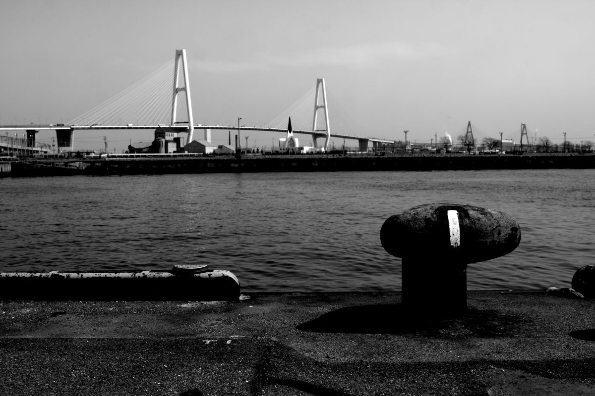EOS 40Dで撮影された写真 | 写真検索 | GANREF