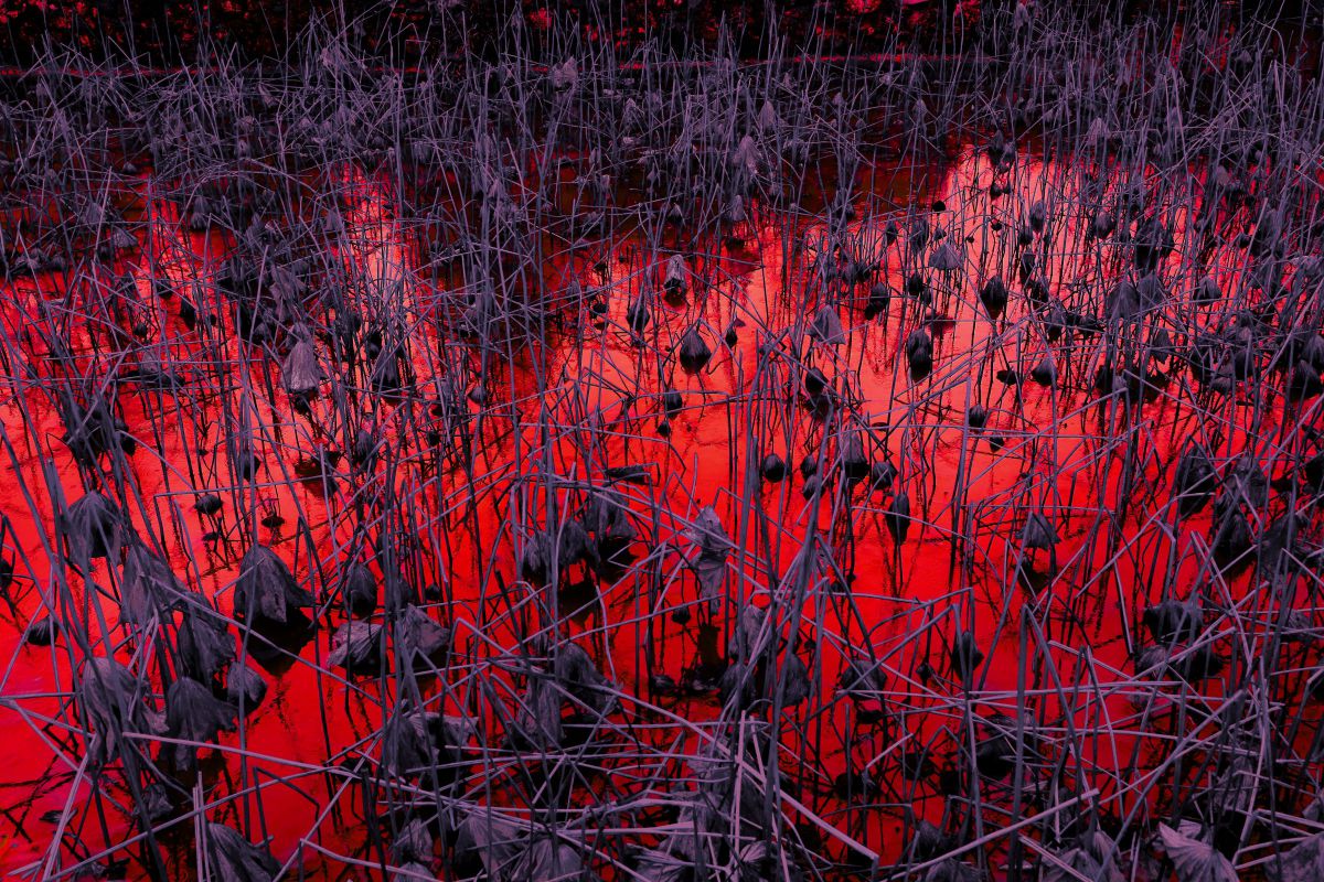 あの世に地獄があるのなら 自然 風景 湖沼 Ganref