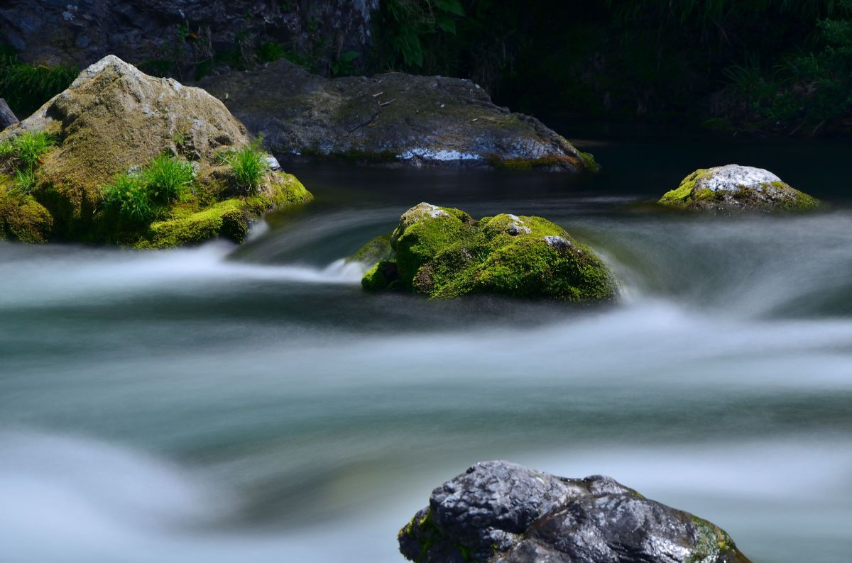AF-S DX NIKKOR 18-105mm f/3.5-5.6G ED VRで撮影された写真 | 写真