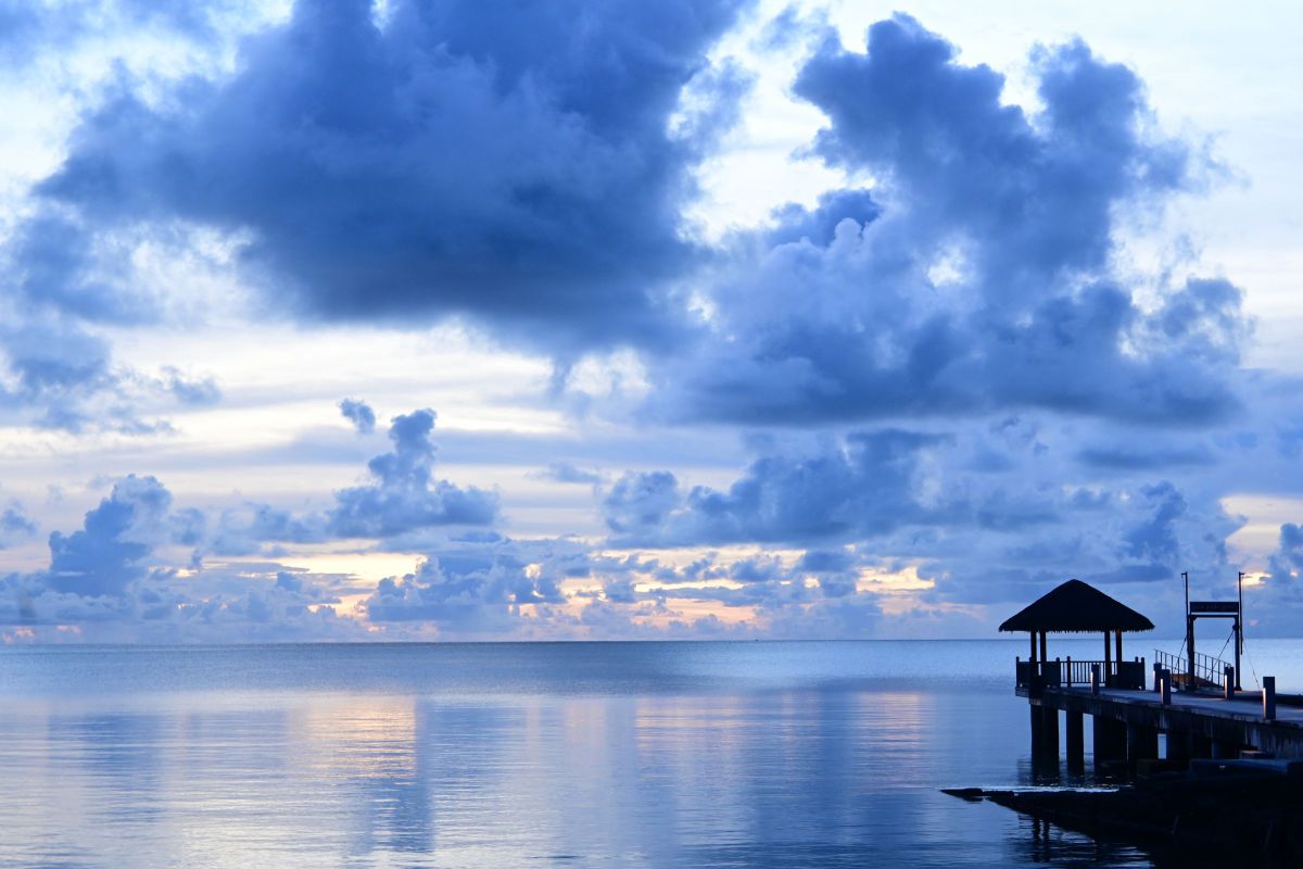 MDAwMDA2NzYwNQ_MC43MzE2MDgwMCA