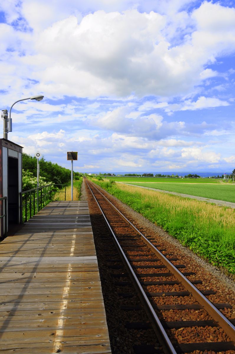 夏草の線路 乗り物 交通 鉄道 駅 Ganref