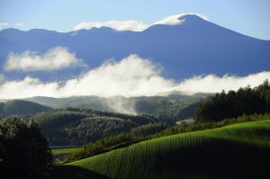 夏草の線路 乗り物 交通 鉄道 駅 Ganref