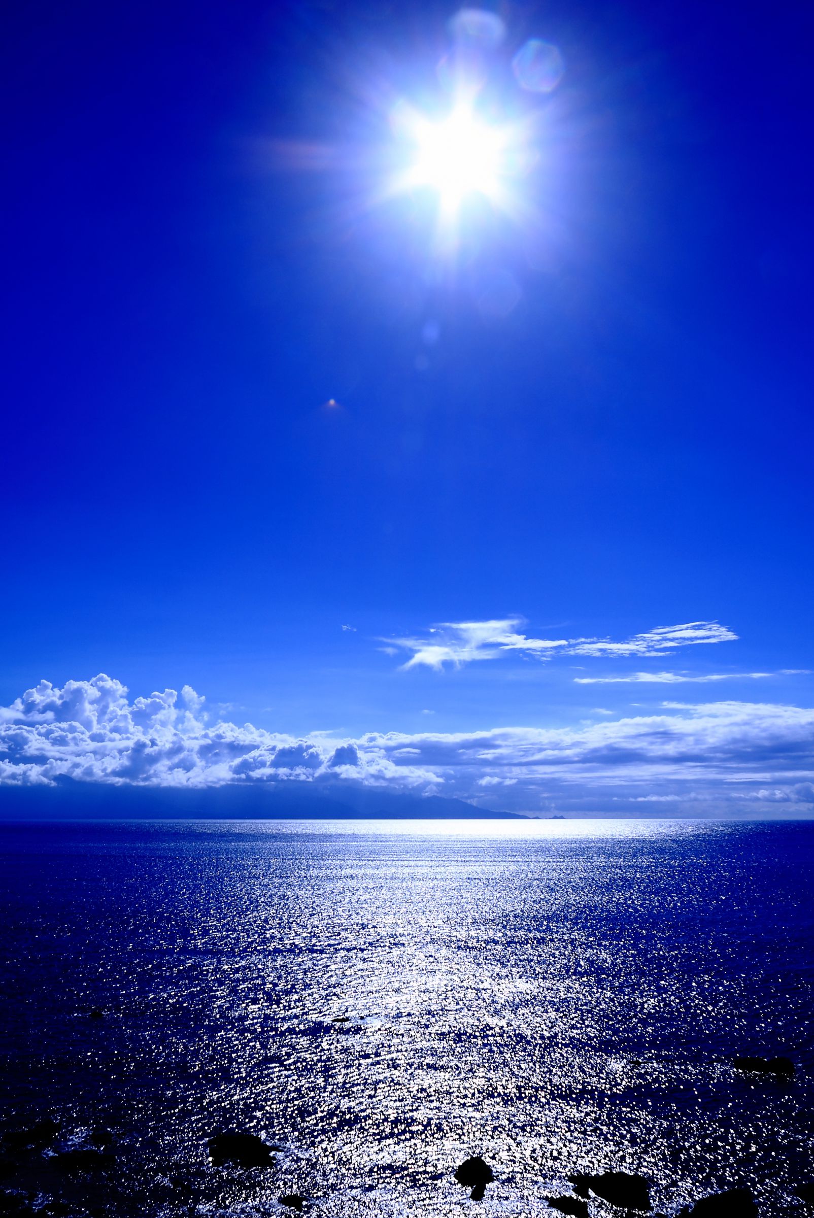 南の島の太陽 | GANREF