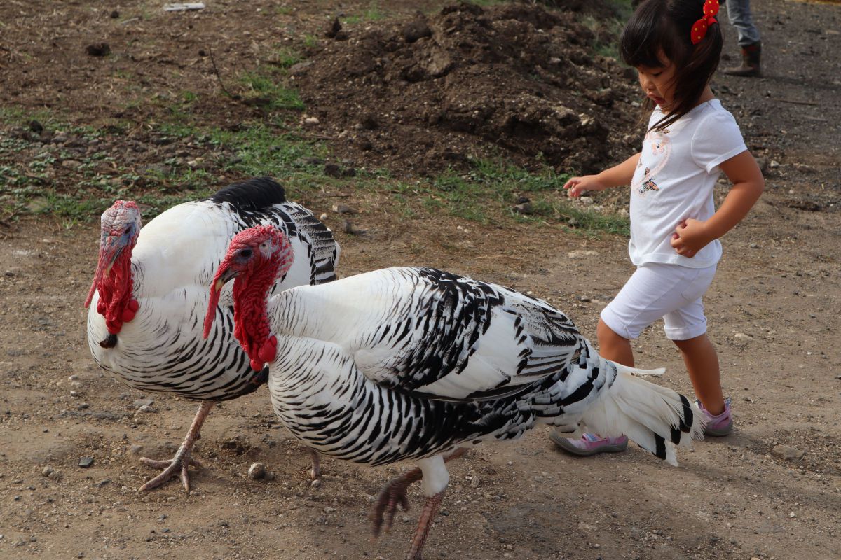 MDAwMDA2MDk3Mw_MC45Njk5NzcwMCA