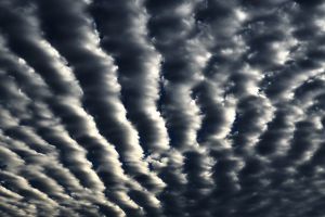 秋雲全開・扇鱗雲 | GANREF