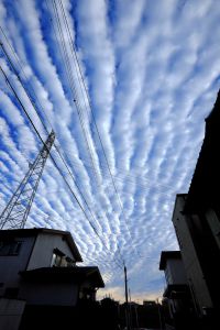 雲雲雲の下 白石涼子 on X: 