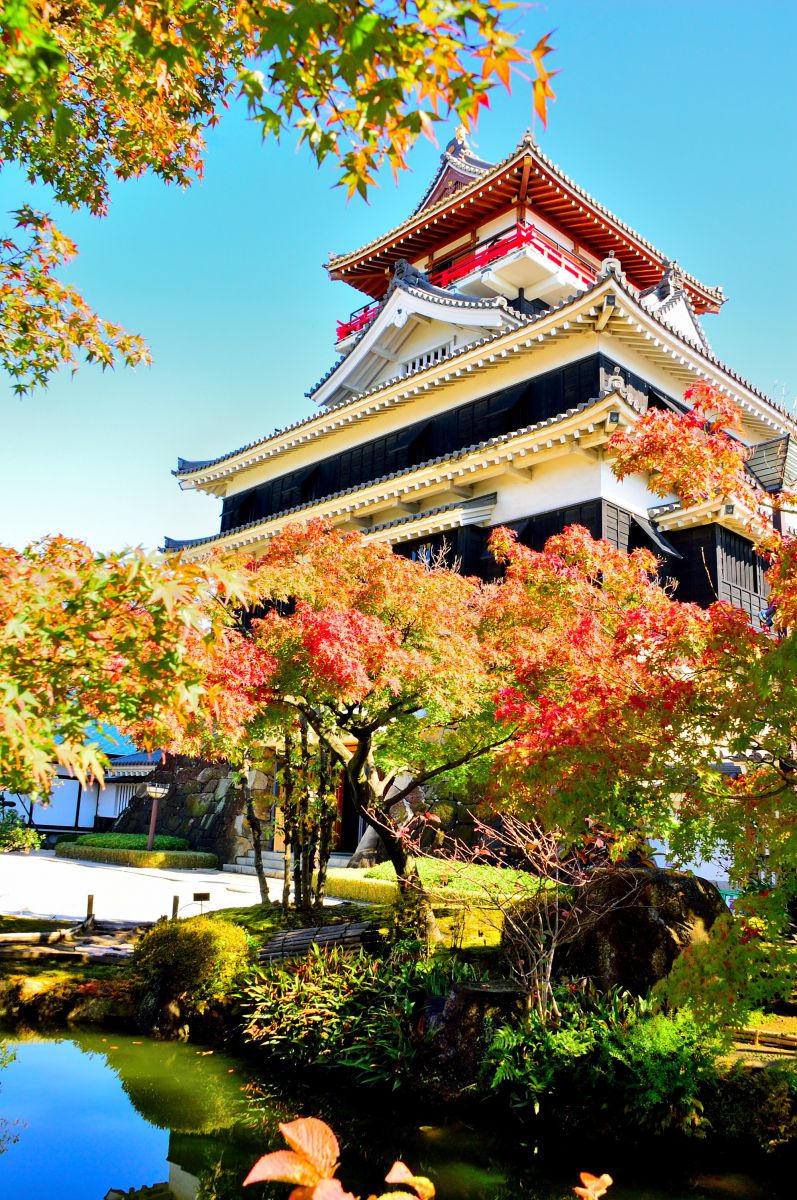 紅葉始まる清洲城 植物 紅葉 Ganref