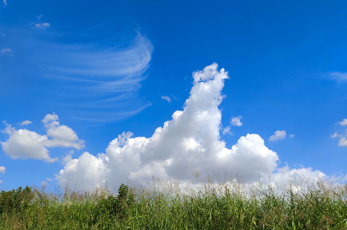 夏の雲 夏雲と秋雲 | GANREF