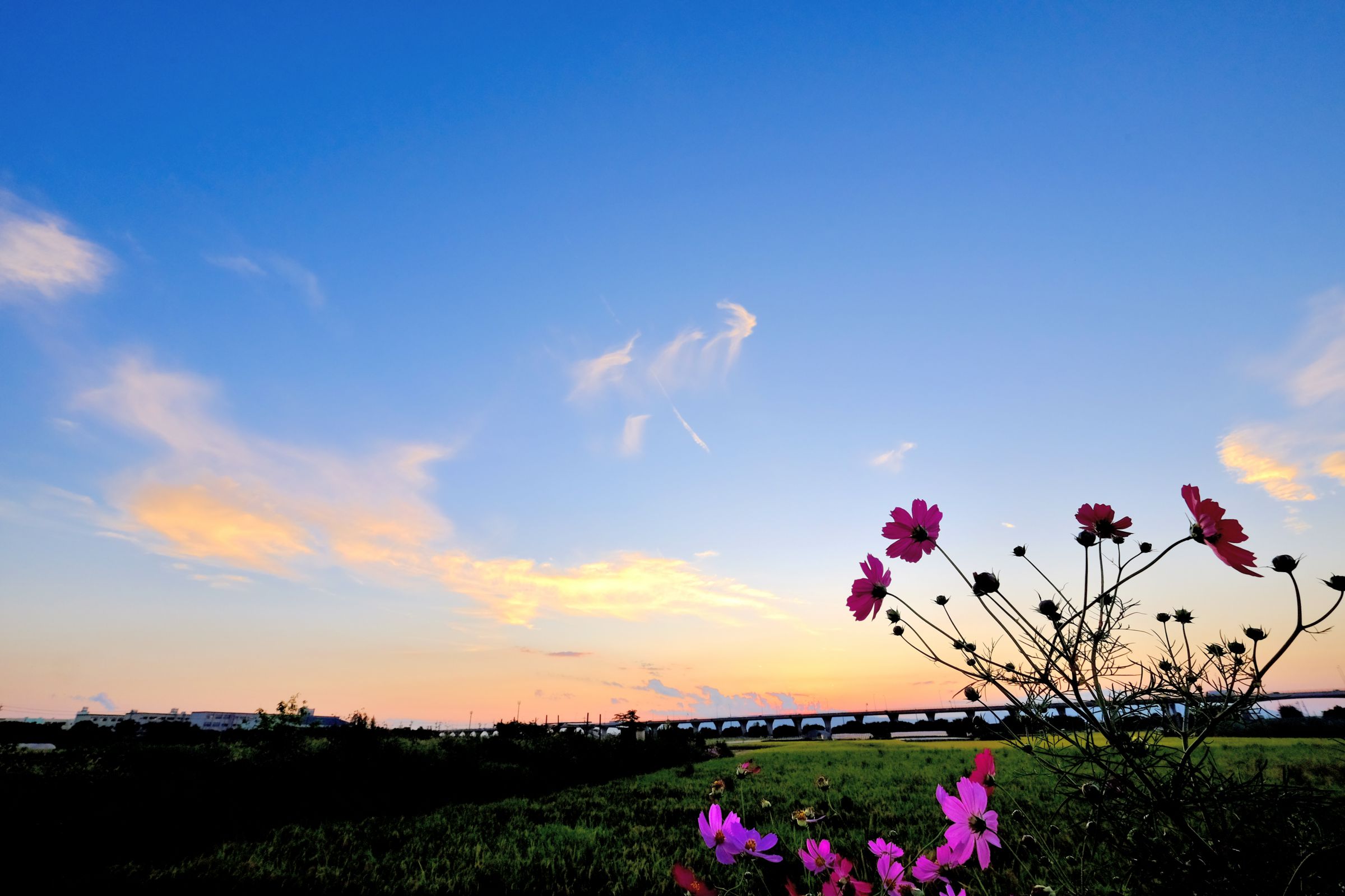 夕暮れ 夕暮れの海 - 250 × 250mm - S11 – 絵あそび