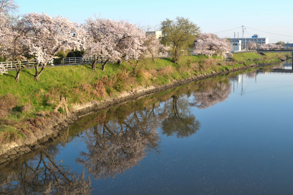 桜川 GANREF