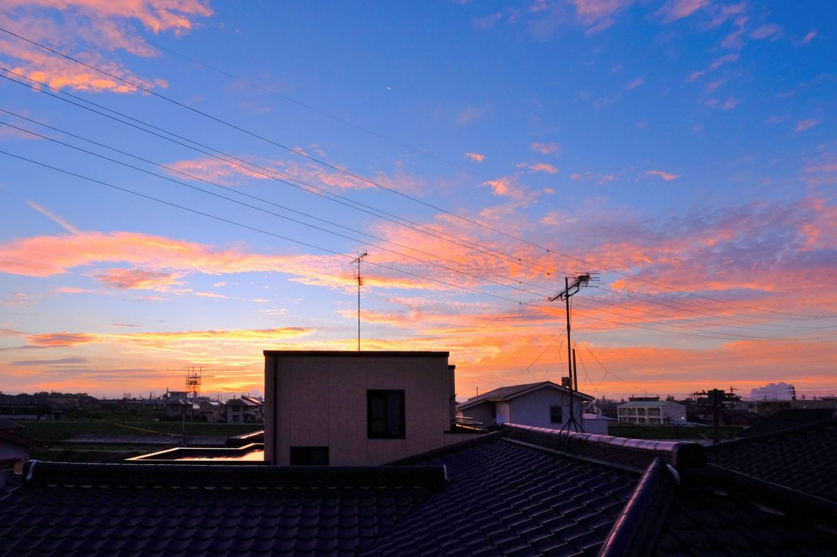 MDAwMDA0NTIwNA_MC44MzI5MDEwMCA